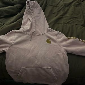 Carhartt Sweatshirt. Love it! Just have too many.